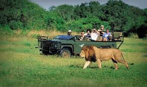 Safari Afrikaans 