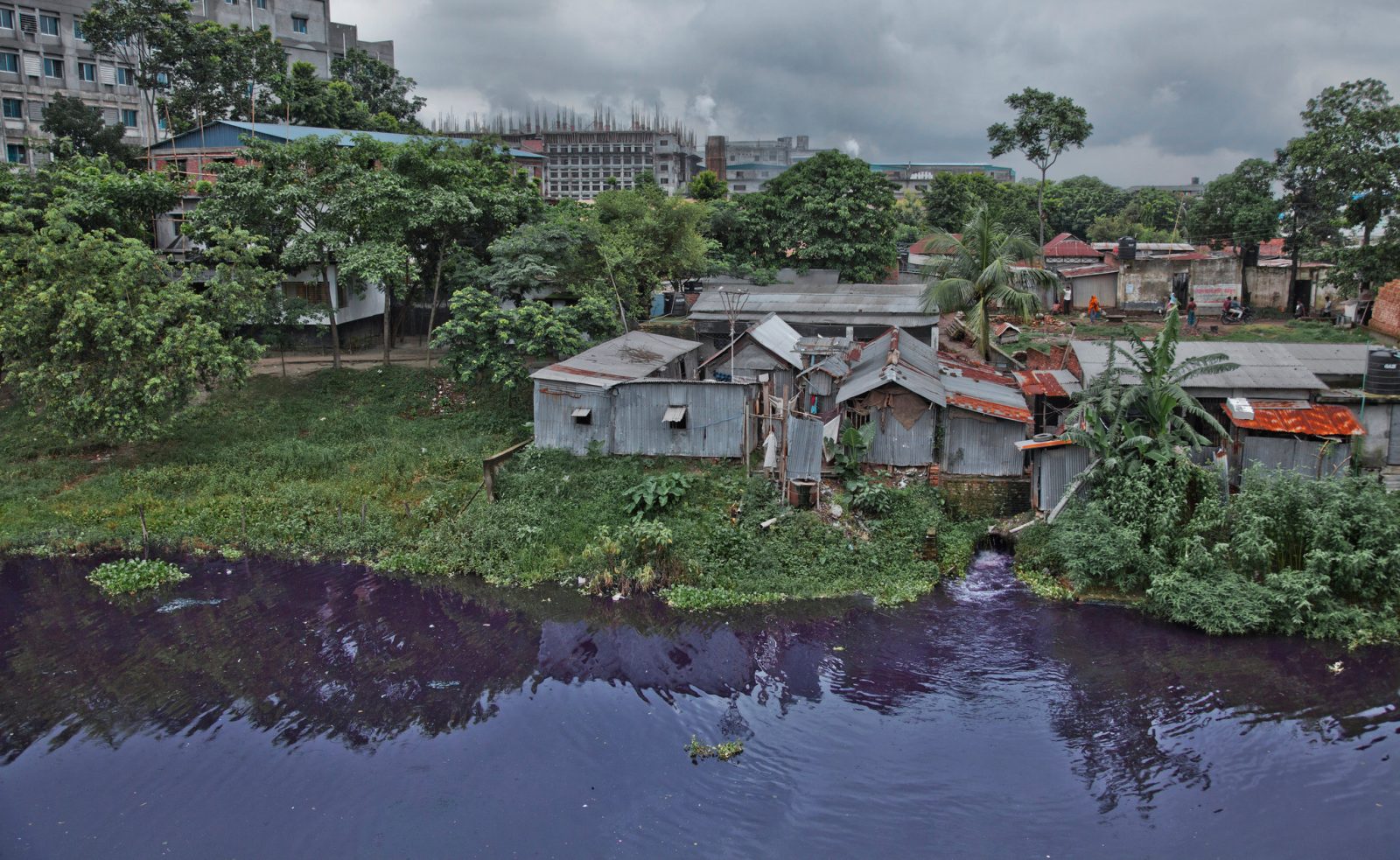 Экология Бангладеш