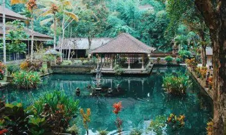 11 интересных фактов про отдых на Бали