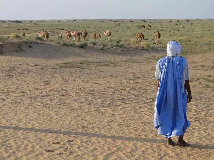 Мавритания Сафари