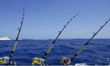 Рыбалка у острова Масирах
