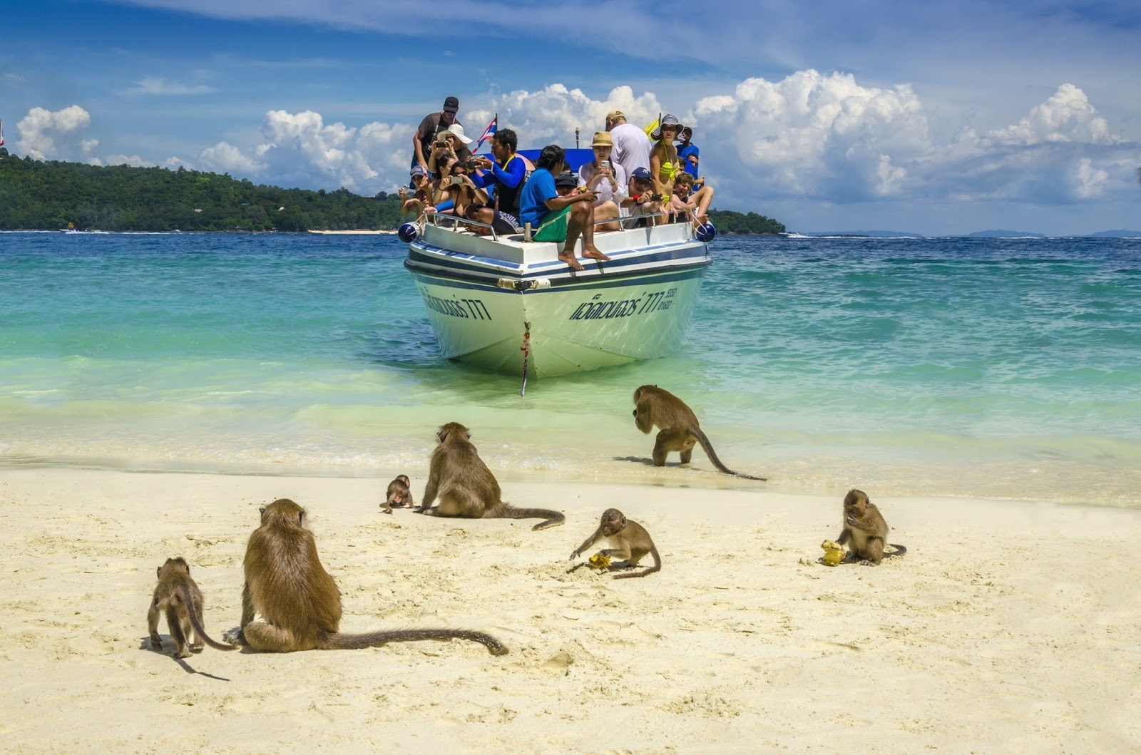 Пляж обезьян Пенанг