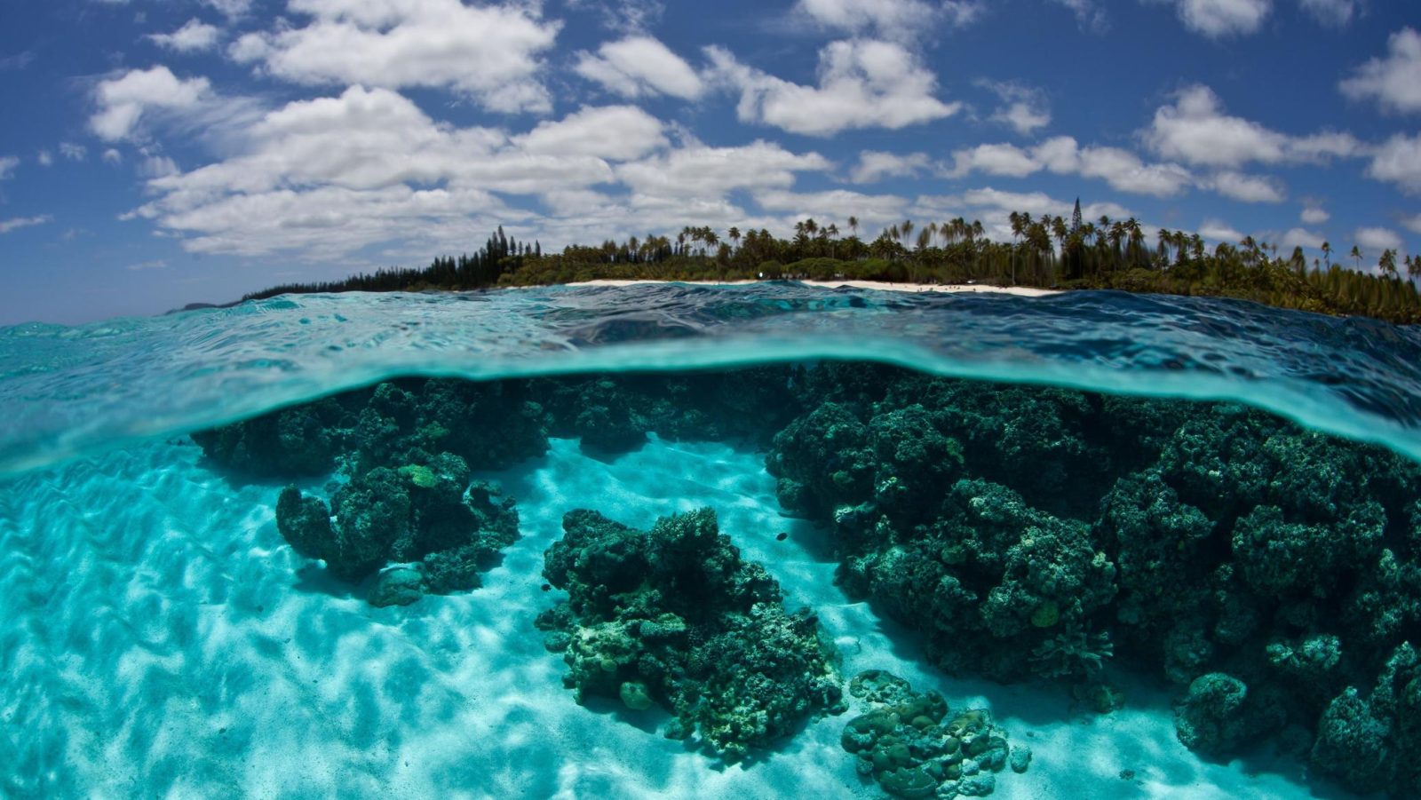 Новая Каледония море