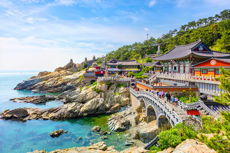 Отдых и шоппинг в Южной Корее