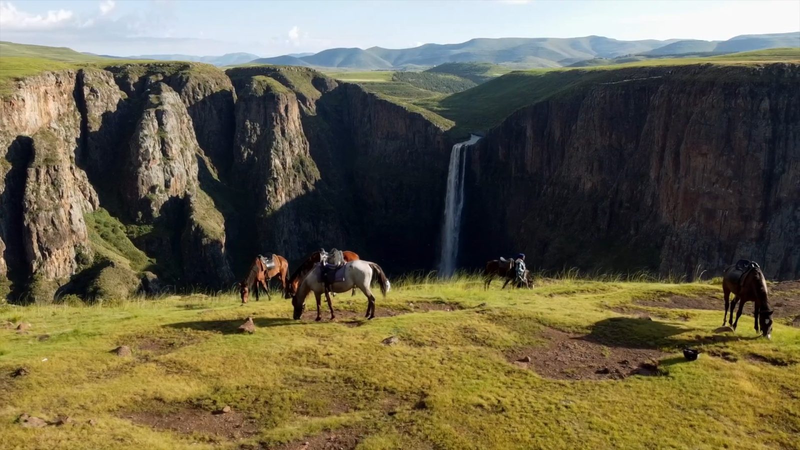 Лесото пастбище