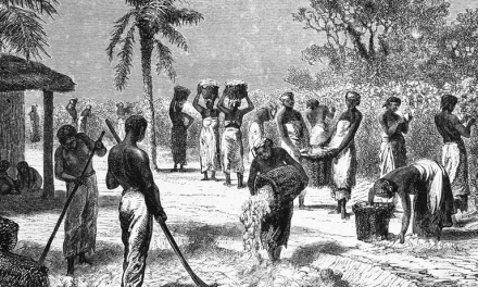 Трагическая история работорговли