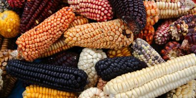 Кукуруза в Перу. 30 интересных фактов о Перу
