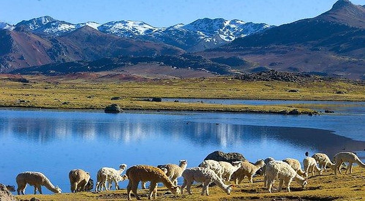Восточный район Перу Sierra