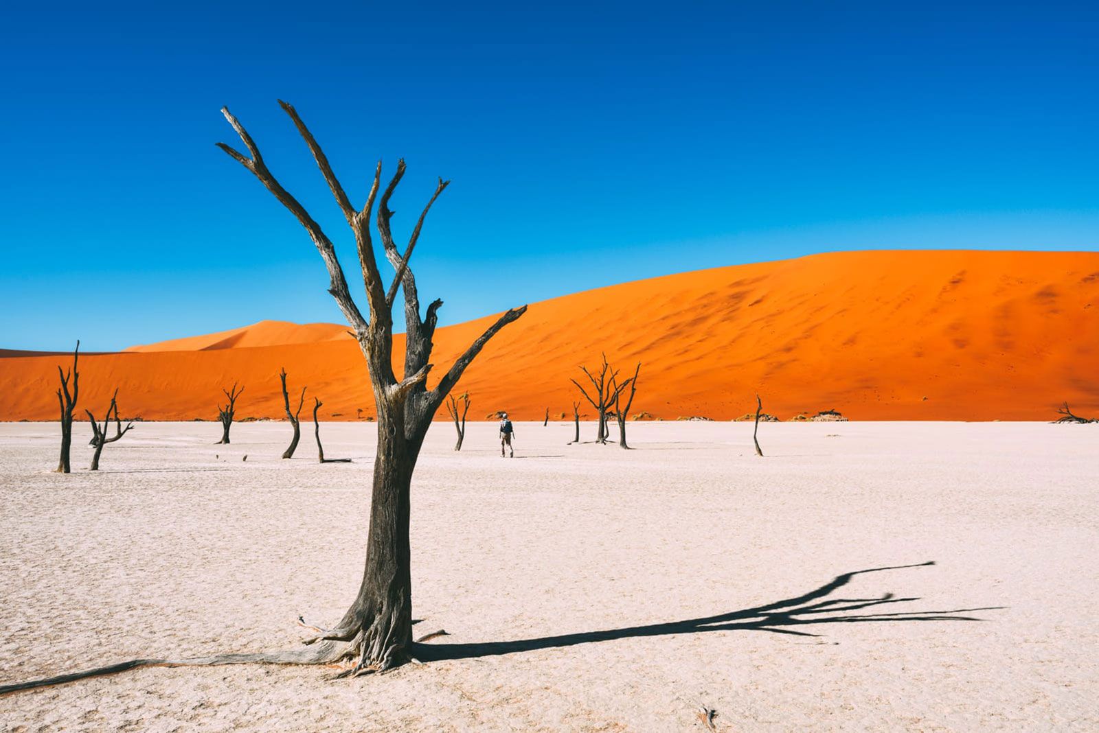 Сафари в Намибии пустыня
