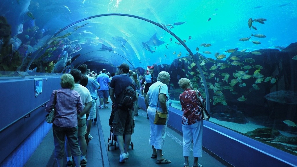 Атланта аквариум