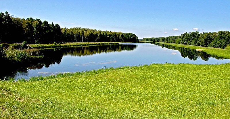 Беловежская пуща: величие природы