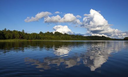 Спастер — озеро в Псковской области