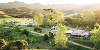 столовая ферма Новой Зеландии