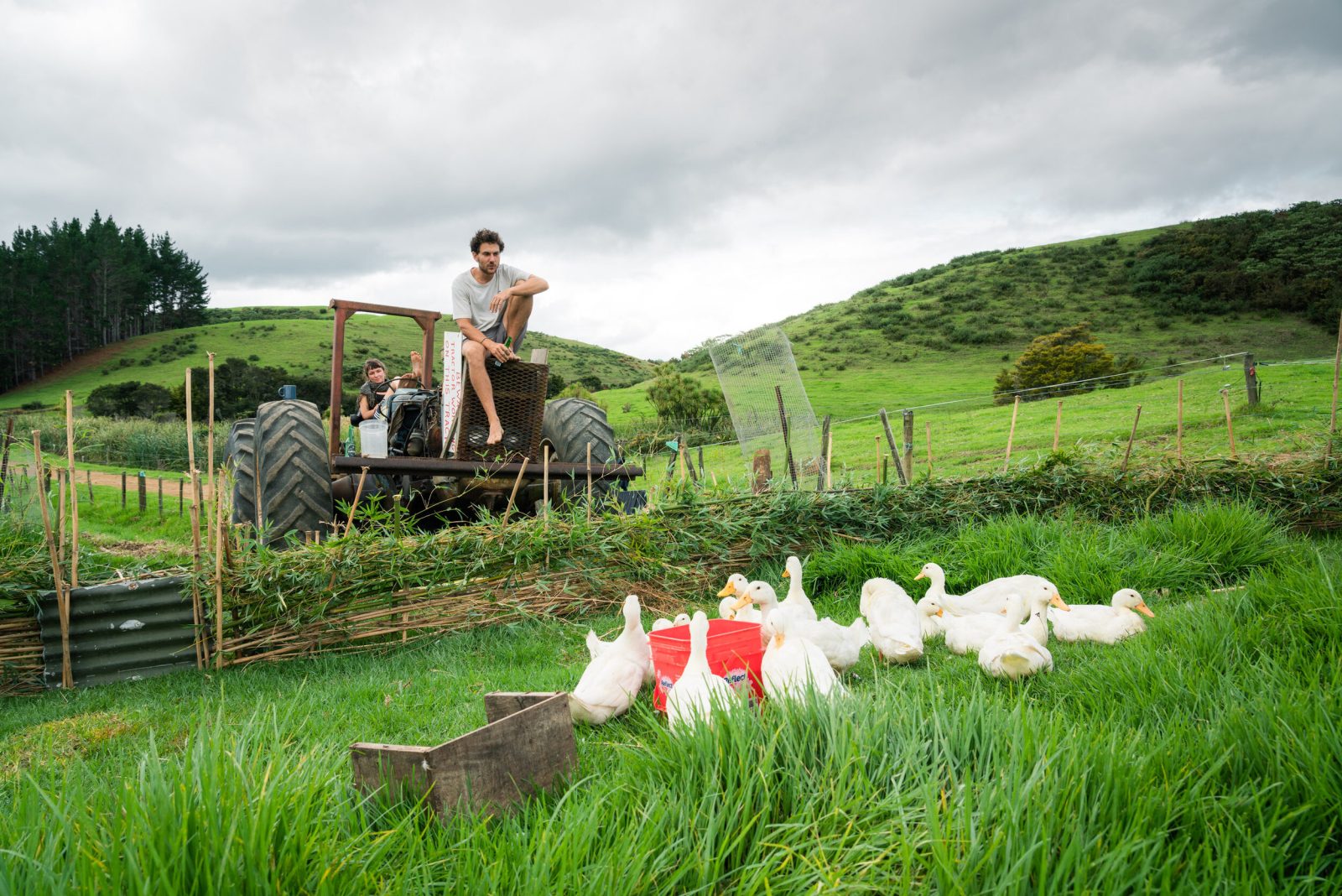 ферма Новой Зеландии