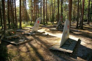 Кладбище военных летчиков в Эмари.