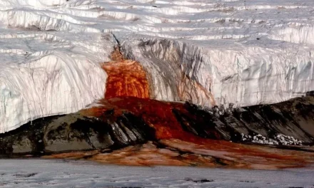 Кровавый водопад в Антарктиде