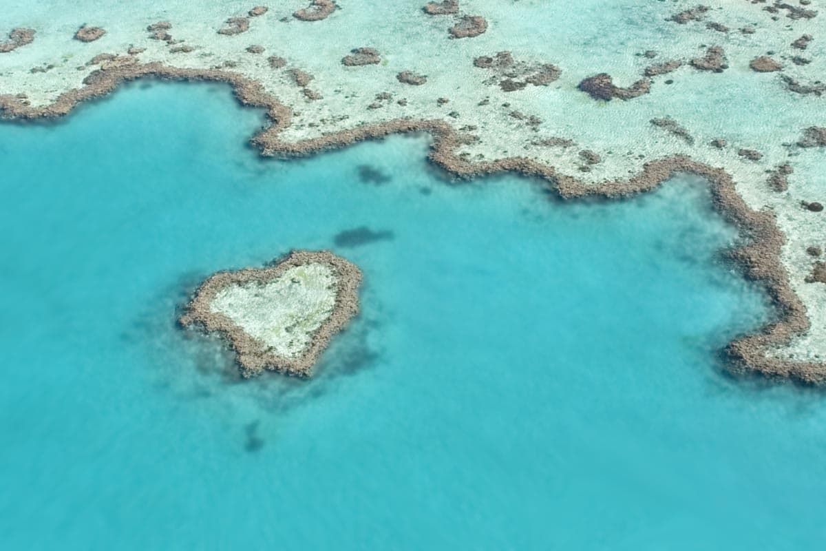 остров Гамильтон коралловый риф
