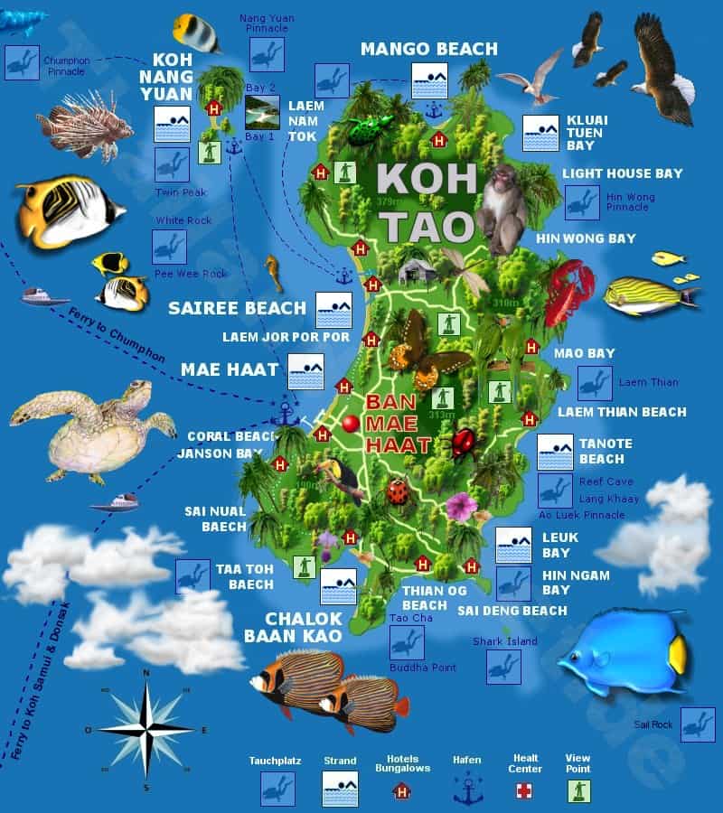 Остров Тао карта дайвинг
