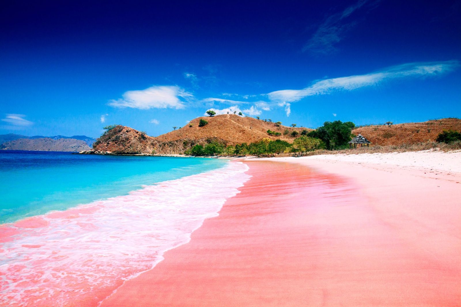 5 самых красивых розовых пляжей
Ломбок