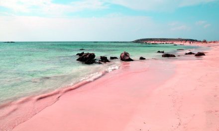 5 самых красивых розовых пляжей
