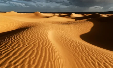 10 интересных фактов о Сахаре