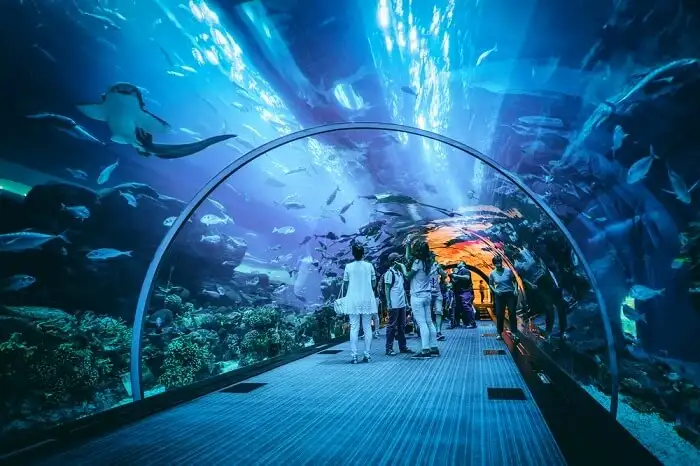 Дубай. Парк Аквариум и подводный зоопарк