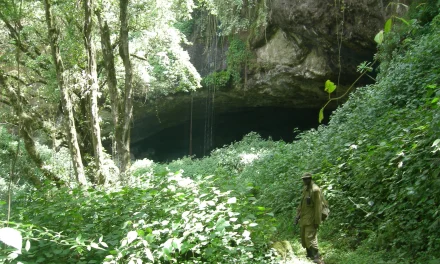 Пещера Китум в Кении
