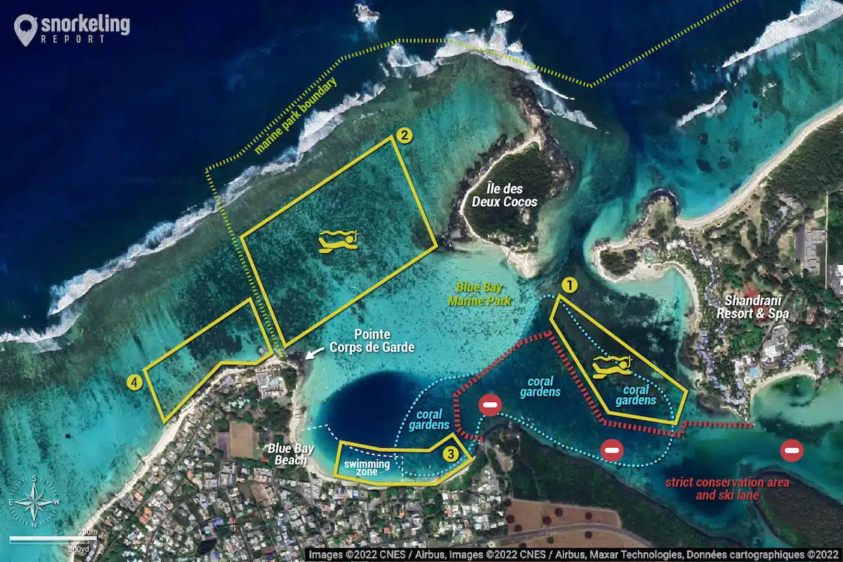 Подводный мир Маврикия: где и как наблюдать за кораллами, рыбами и черепахами