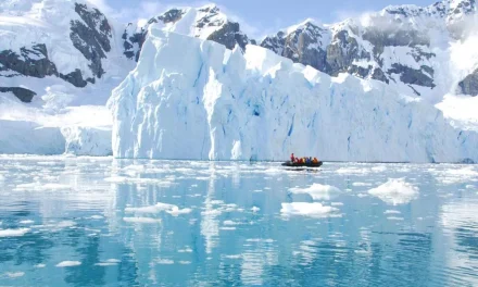 Антарктида: ледяное сердце планеты