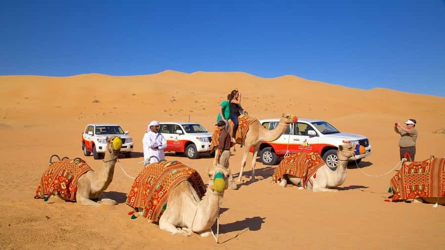 Сафари пустыня Дубай джипы и верблюды