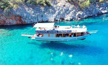 8 самых красивых мест для дайвинга в Турции