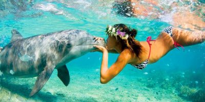 Где поплавать с дельфинами на Кубе