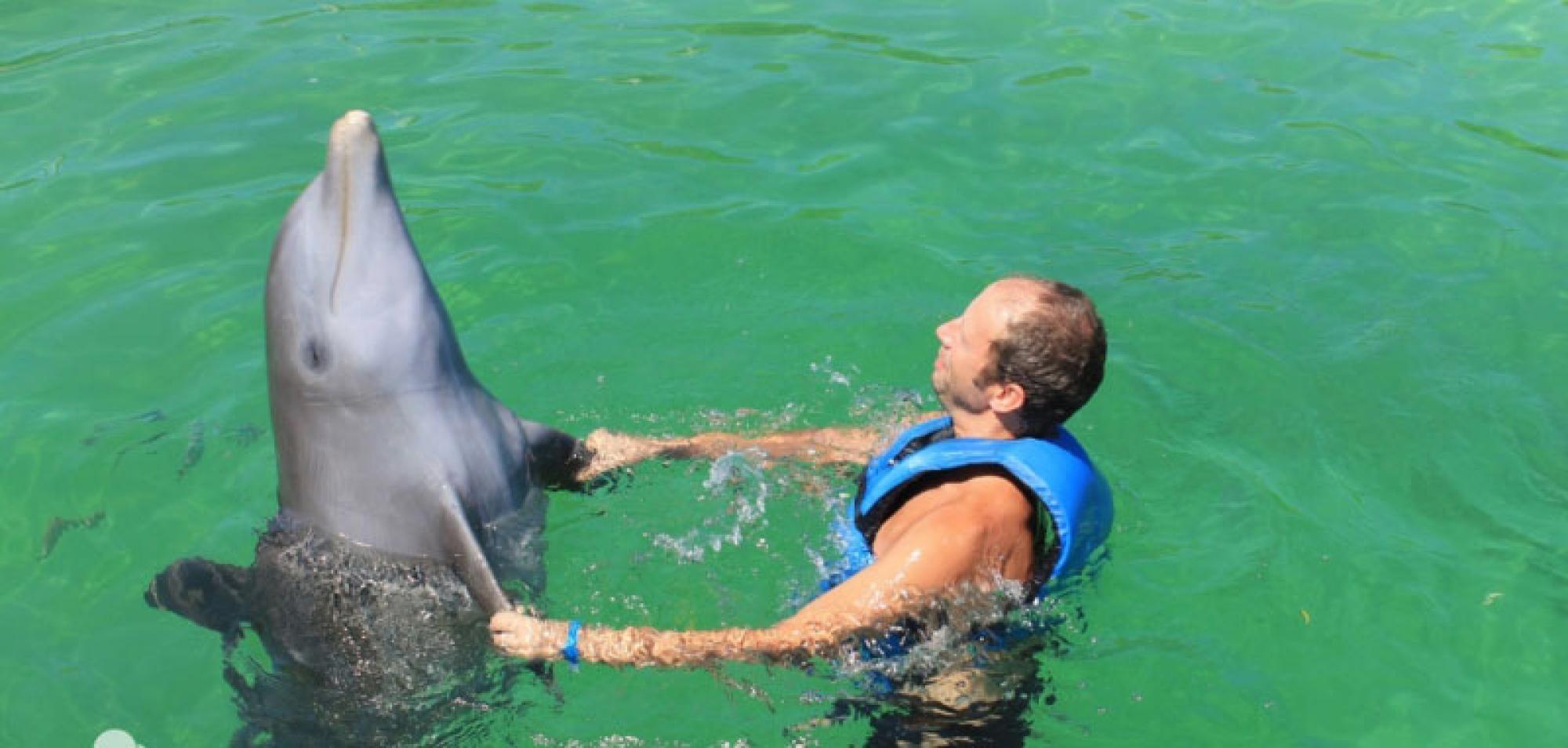 плавание с дельфинами на Кубе