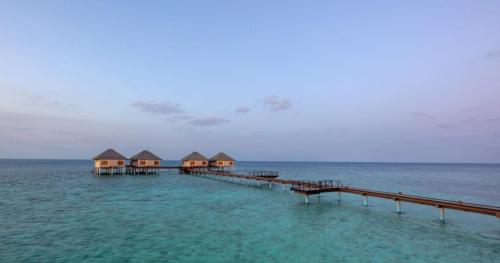 ADAARAN PRESTIGE VADOO MALDIVES/Honeymoon villa 1