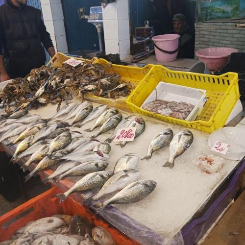 Рыбный рынок Тунис