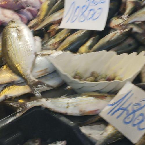 Рыбный рынок Тунис